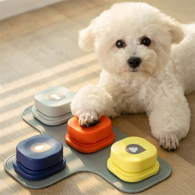 Fluffy white dog pressing colorful pet communication buttons on a mat, promoting interactive play and communication.