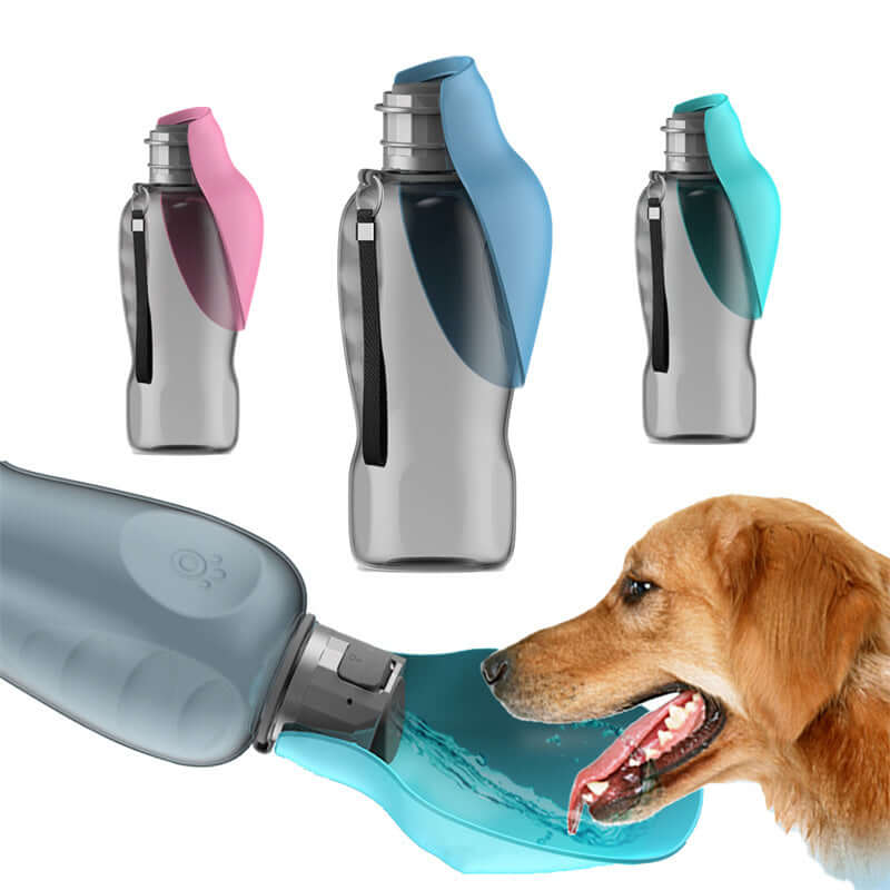 Three portable dog water bottles in pink, blue, and teal, with a golden retriever drinking from one.