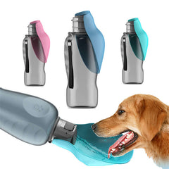 Three portable dog water bottles in pink, blue, and teal, with a golden retriever drinking from one.