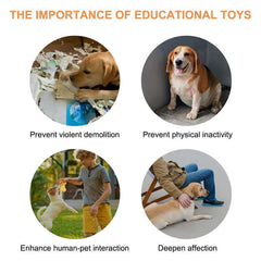Importance of educational toys for dogs: prevent demolition, physical inactivity, enhance interaction, and deepen affection.