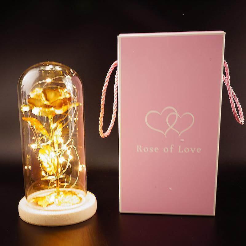  Christmas Decoration Rose Flower in Glass LED Light