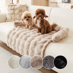 Two cute dogs on a plush, thermal dog mat on a sofa, available in various colors, ideal for winter warmth and comfort.