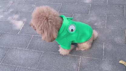 Small dog in a cute green frog hoodie, showcasing adorable style and warmth for winter outings.