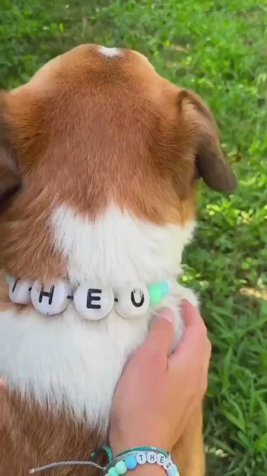 Pet Beaded Name Collar With Bracelet Set Custom Dog Collar