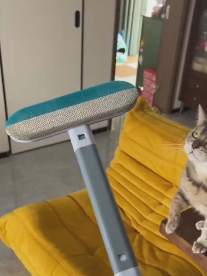 Home cleaning made easy with multi-use brush tool