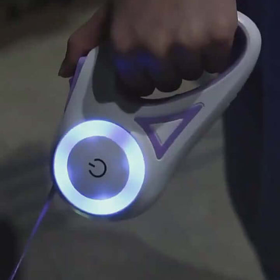 Retractable dog leash with comfortable grip for walking pets outdoors