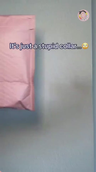 Pet Beaded Name Collar With Bracelet Set Custom Dog Collar