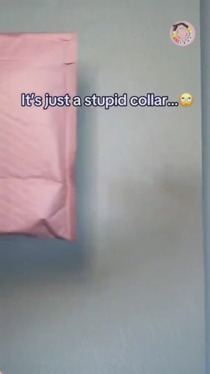 Pet Beaded Name Collar With Bracelet Set Custom Dog Collar