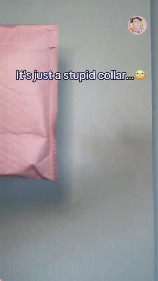 Pet Beaded Name Collar With Bracelet Set Custom Dog Collar