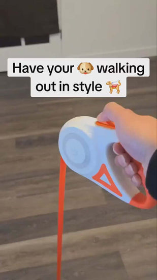 Retractable dog leash with comfortable grip for walking pets outdoors